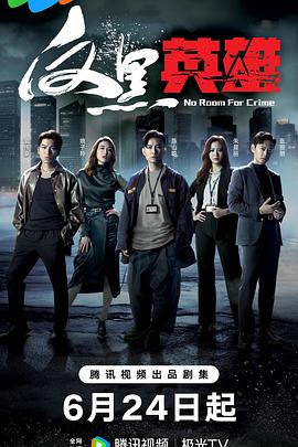 岷县微狼霸群雄海报剧照